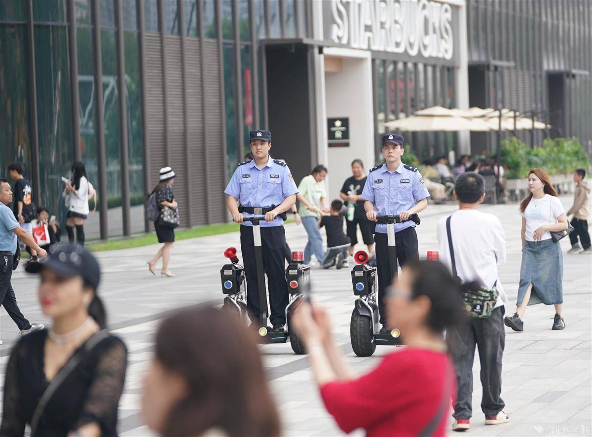 mg娱乐登录